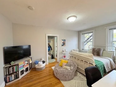 Stüdyo daire Ikamet yerinde konumu 249, Chestnut Hill Ave., Unit 35, Brighton, Boston, MA, 02135, 7 12 görüntüsü