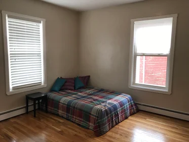 Gesamte Unterkunft im Wohnheim in der 5, Otisfield St., Unit 1, Dorchester, Boston, MA, 02121, bild 7 von 19