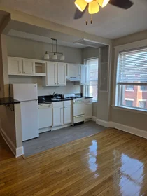 Studio in residence at 1185, Commonwealth Ave., Unit 15, Allston, Boston, MA, 02134, image 15 of 17