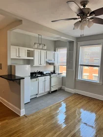 Studio in residence at 1185, Commonwealth Ave., Unit 15, Allston, Boston, MA, 02134, image 3 of 17