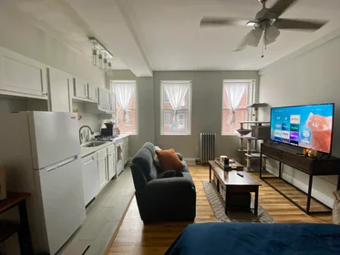 Studio in residence at 1185, Commonwealth Ave., Unit 8, Allston, Boston, MA, 02134, image 13 of 18