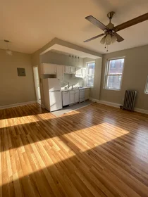 Studio in residence at 1185, Commonwealth Ave., Unit 8, Allston, Boston, MA, 02134, image 4 of 18