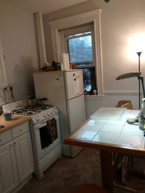 Stüdyo daire Ikamet yerinde konumu 1450, Commonwealth Ave., Unit 8, Brighton, Boston, MA, 02135, 5 10 görüntüsü