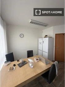 Stanza privata in Záhřebská, immagine 12 di 13