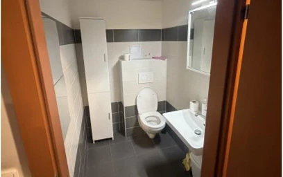 Habitación privada en Záhřebská, imagen 13 de 13