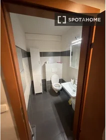 Stanza privata in Záhřebská, immagine 13 di 13
