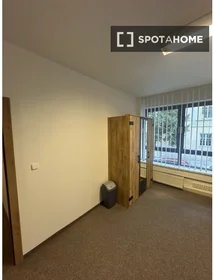 Stanza privata in Záhřebská, immagine 6 di 13