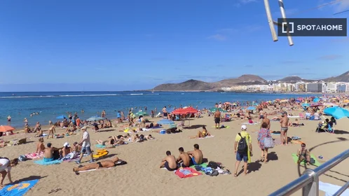 Entire place at Calle Bernardo de la Torre, image 15 of 17