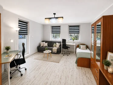 Private room at Henryka Sienkiewicza 52, image 1 of 10