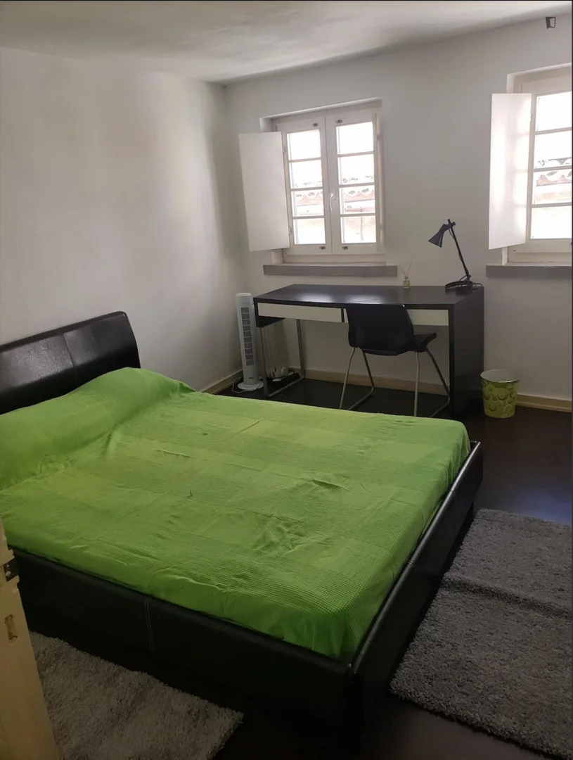Camera accogliente per studenti disponibile a 