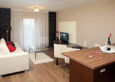Entire fully furnished flat in Plzeň