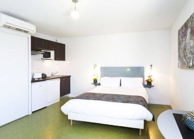 Zimmer mit Doppelbett zu vermieten Toulouse