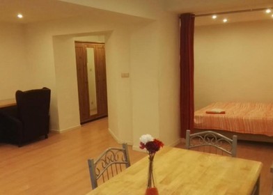 Room for rent in a shared flat in bruxelles-brussel