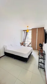 Apartamento inteiro em Rua Dr. Cesário Mota Júnior, Vila Buarque, imagem 1 de 10
