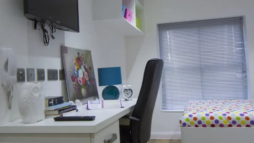 Quarto privado em 17 - De Montfort Street Leicester LE1 7GN, imagem 3 de 12