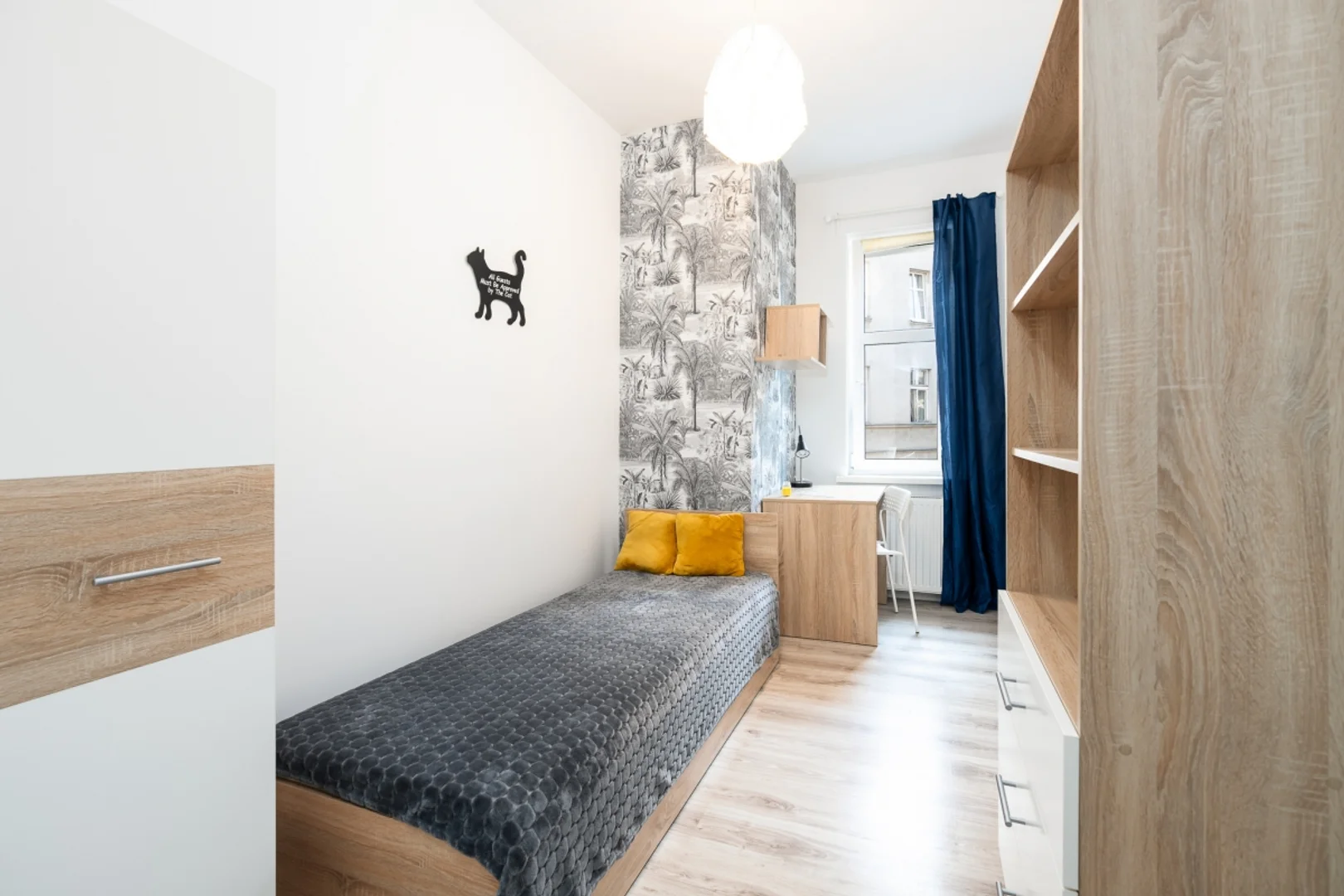 Affordable room for students with ample lighting in 