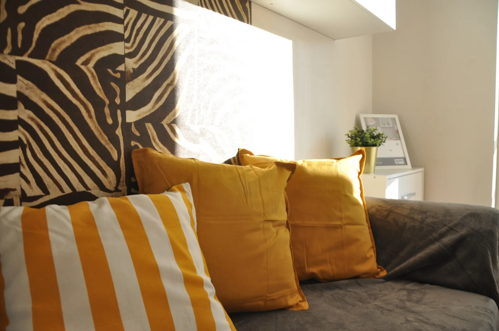 Habitación estudiantil económica cerca del campus en