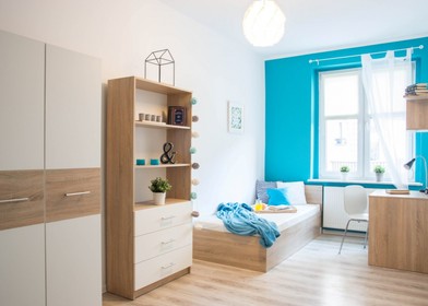 Alquiler de habitaciones por meses en poznan