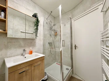 Private room at Noisy-le-grand, 93160, image 16 of 18