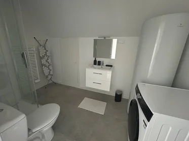 Stanza privata in Dijon, 21000, immagine 15 di 19