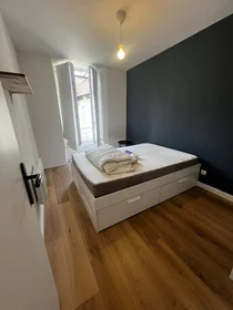 Private room at Strasbourg, 67000, image 1 of 5