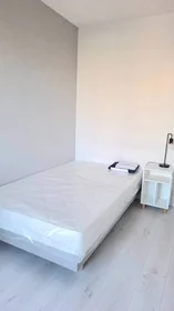 Privatzimmer in der Angers, 49000, bild 7 von 16