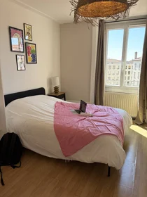Prywatny pokój Lyon, 69007, obraz 1 10