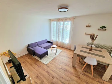 Privatzimmer in der Troyes, 10000, bild 1 von 8