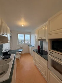 Chambre privée à Wasquehal, 59290, image 1 de 7