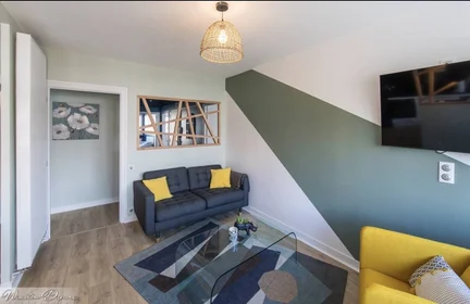 Prywatny pokój Clermont-ferrand, 63000, obraz 1 10
