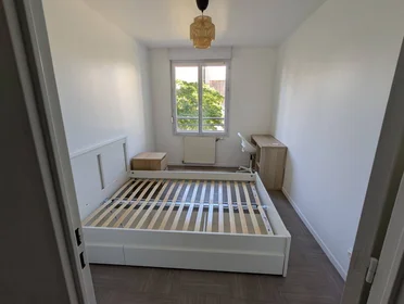 Stanza privata in Villeurbanne, 69100, immagine 1 di 5