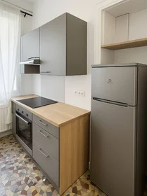 Prywatny pokój Grenoble, 38000, obraz 1 9