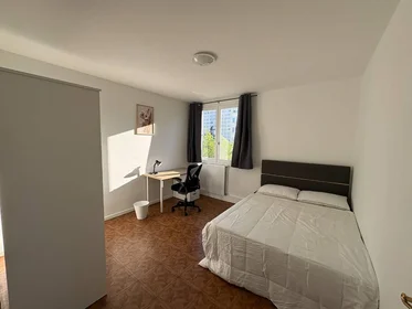 Privatzimmer in der Villeurbanne, 69100, bild 15 von 22