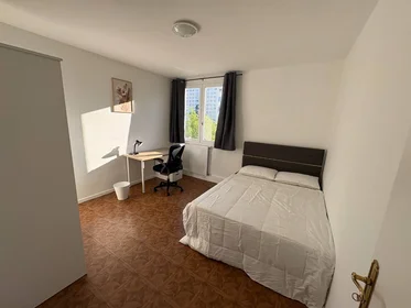 Privatzimmer in der Villeurbanne, 69100, bild 17 von 22