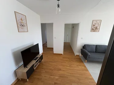 Privatzimmer in der Villeurbanne, 69100, bild 3 von 22