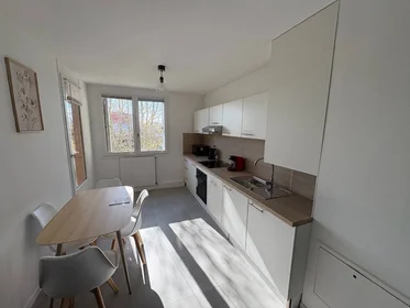 Privatzimmer in der Villeurbanne, 69100, bild 4 von 22