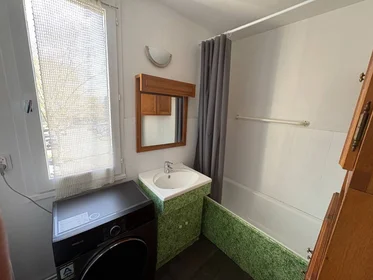 Privatzimmer in der Villeurbanne, 69100, bild 6 von 22