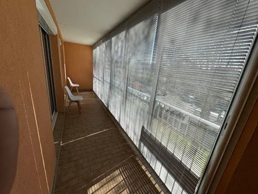 Privatzimmer in der Villeurbanne, 69100, bild 9 von 22