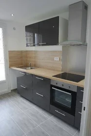 Prywatny pokój Grenoble, 38000, obraz 1 9