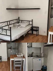 Habitación privada en Toulouse, 31000, imagen 1 de 9