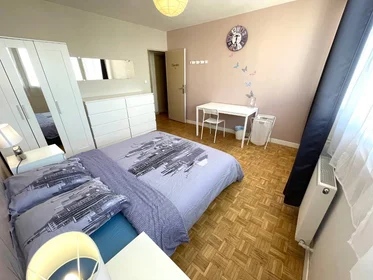 Chambre privée à Villeurbanne, 69100, image 1 de 10
