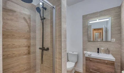 Stanza privata in Grenoble, 38000, immagine 1 di 4