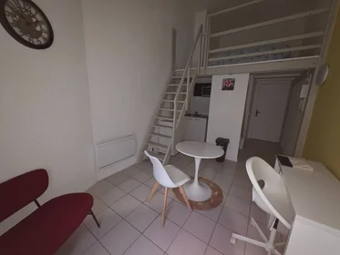 Habitación privada en Metz, 57000, imagen 1 de 10
