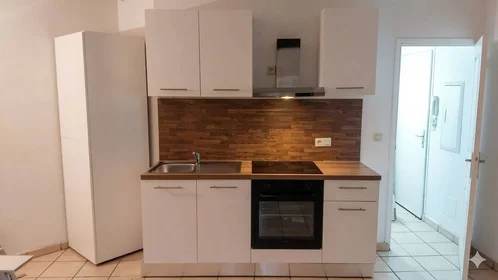 Prywatny pokój Perpignan, 66000, obraz 1 7