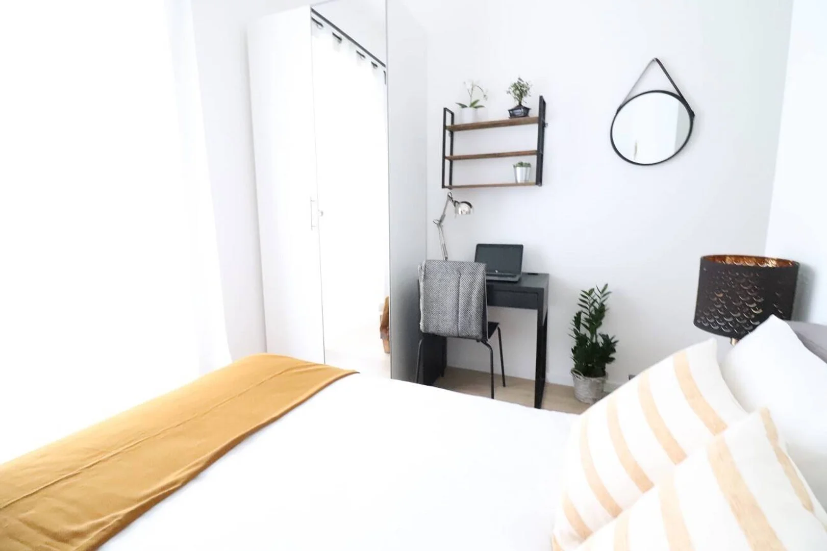 Affordable room for students with ample lighting in 