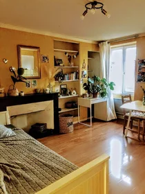 Prywatny pokój Grenoble, 38000, obraz 1 7