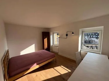 Private room at Strasbourg, 67000, image 1 of 10
