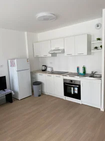 Stanza privata in Pontoise, 95300, immagine 1 di 7
