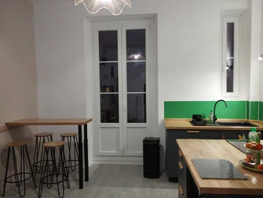 Prywatny pokój Grenoble, 38000, obraz 1 6