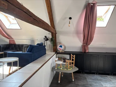 Chambre privée à Lille, 59800, image 1 de 10